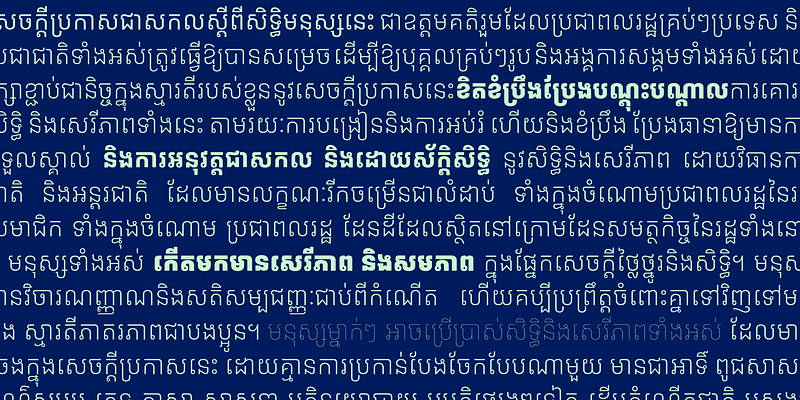 preview image of Niradei from Anagata Type